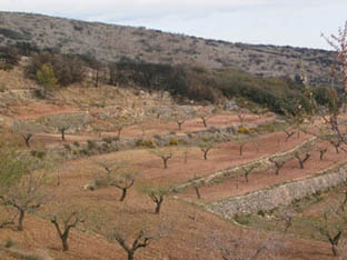 Paratge dels Molins a Alcublas.